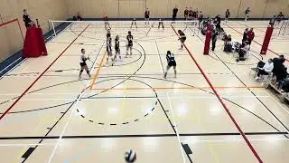 Panthères vs Amqui 