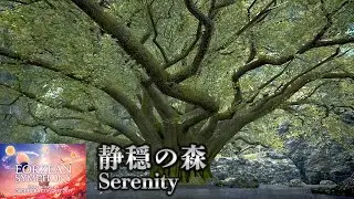 【FF14】『静穏の森 /Serenity』Orchestra Concert 2019 -Eorzean Symphony-【MAD】