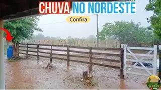 CHUVA NO SERTÃO NORDESTINO c38