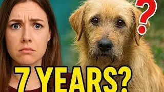 This Dog Waited 7 Years for Someone to Love Him