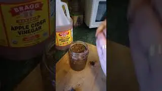 Magnolia bark tincture