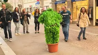 Bushman prank :Best females Reactions 2022!!(part 2😂🤣)