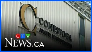 More layoffs at Conestoga College