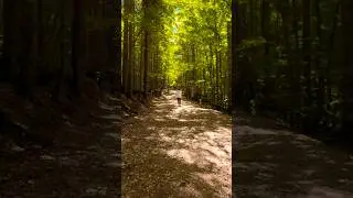 &ldquo;Abant G&ouml;l&uuml;&rsquo;nde Doğa ile Baş Başa 🌲✨&rdquo;