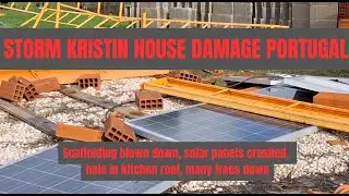 Storm Kristin Portugal 2026 Aftermath – House Assessment and Clearing Fallen Trees