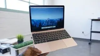Macbook 2016: обновление в цвете &laquo;розовое золото&raquo;!