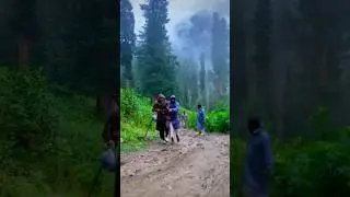 Baboon valley hiking trek | Neelum valley Azad Kashmir