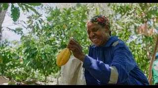 Ebier Suth Cokran, Ransiki #agroforestry #regenerativefarming #positiveimpact #organicfarming
