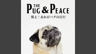 ALL YOU NEED IS PUG