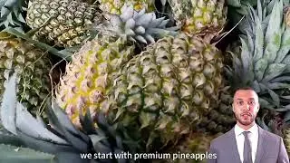 【Newsource】IQF Frozen Pineapple