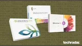 Top 3 Best DNA Testing Kit Reviews In 2024