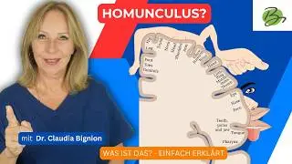 Motorisch vs. sensorisch: Der Homunculus im Gehirn einfach erkl&auml;rt | Dr. Claudia Bignion