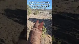 Cattle Drive, Strays on our Ranch!  #cattledrive  #horse #mules #cattle #mountains #adventure