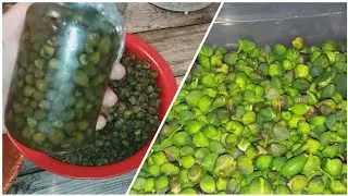طريقة تمليح الكبّار سهل و اقتصادي