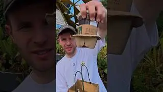 Кофе Starbucks за 4 доллара в Китае 🇨🇳 #уличнаяеда
