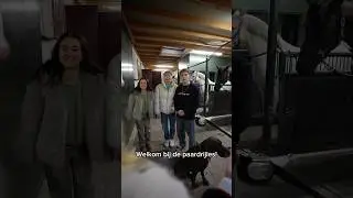 Paardrijles 🐎 Hoe zou jij een paard noemen? 🤔