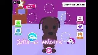Roblox adopt me POV Rich/pro/poor