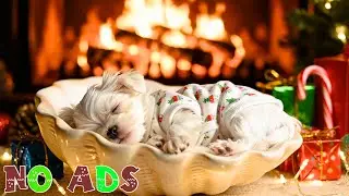 12 часов успокаивающей музыки для собак 🐶💖 против тревоги разлуки и для глубокого сна 🎵