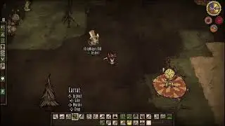 Dont Starve Together Carrot Races