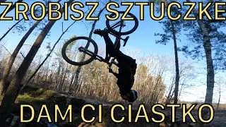 zrobisz sztuczke dam ci ciastko