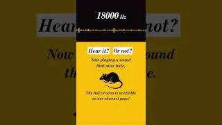 18000Hz Ultrasonic Mouse & Rat Repellent Noise (20s) &ndash; Overnight Deterrent Sound