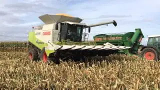 Claas lexion 600 na Agroglobal 2014