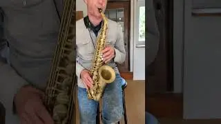 Solo #sax on our Brancher Alto Sand Lacquer #saxophone #saxplayer #saxophonist