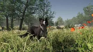 How to bend Grass with Skye the Border Collie, Meadow Environment and The Visual Engine
