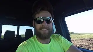 Hog barn update/scouting crops!