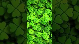 4 leaf clover live wallpaper - cute wallpaper - wallpaper live