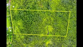 KAIWIKI RD | Hilo Real Estate