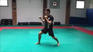 progressione didattica per kizami-tsuki gyaku-tsuki
