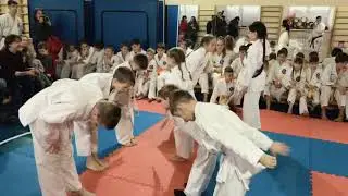 Международная аттестация на пояса по Шотокан Каратэ SKIF