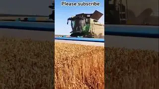 reaping, threshing, and winnowing into a single operation. #explore #agriculture