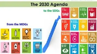 Environmental sciences|Environmental Thoughts Movements|MDGs and SDGs