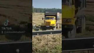 Вот такие видео снимают наши комбайнеры😀 #краз