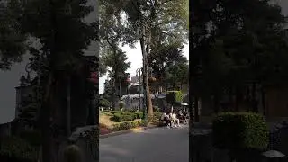Coyoac&aacute;n una mirada pasado y presente de CDMX, belleza, arquitectura y cultura.