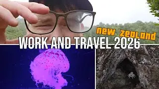 Work and Travel Neuseeland 2026 ☁️ | Sea Life & Rangitoto Island 🏝️