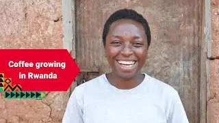 Coffee growing in Rwanda