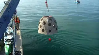 Reef Ball Conservation Work Capt Video Production for Eternal Reefs in Sarasota