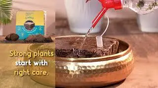 Best Gardening Essentials Give for Your Plant🌿| Nurturing Green GARDENING ESSENTIALS