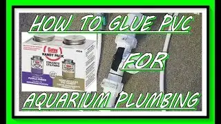 How To Glue PVC For Aquarium Plumbing
