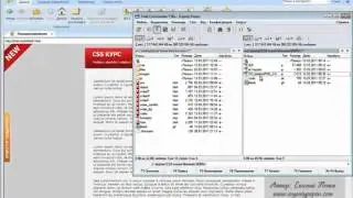 024 Курс CSS   Урок №42  Решение проблем IE6