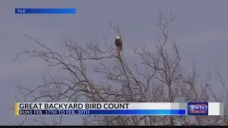 Join the annual Great Backyard Bird Count. Here's how