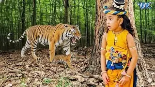 नन्हे कृष्ण पर आया बाघ का कहर 😱 | चौंकाने वाला जंगल सीन