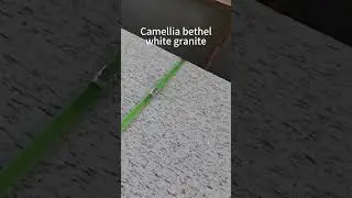 Camellia bethel white granite top quality stone custom made slabs and tiles