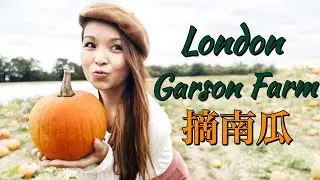 GEL FLYING 我又飛喇 ♡ 倫敦EP1：Garson Farm摘南瓜