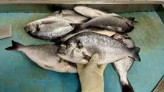 Amazing fish cutting skills Dubai fishmonger🔥🇦🇪Abhijith KL44 is live