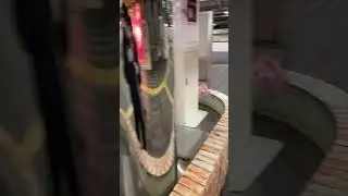 family night OSAKAcity bus ride to  JR west rail wey train many many   Live ASMR