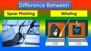 Difference Between Spear phishing and whaling